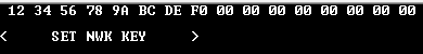 ../_images/SET-NWK-KEY.png